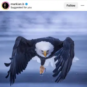 Instagram Photo Downloader